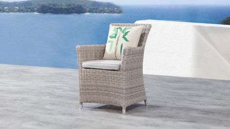 Savannah Outdoor Wicker Dining Chair Set Of Two